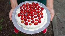 Jahodový dort ze védské kuchaky Dominiky Wittenberg Gaparové