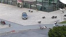 State�ný cyklista. Po p�emetu se ot�epal a jel dál