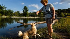 Hlavní msto letos dokonilo nkolik nových rybník. Nejvtí investice smovala do Stromovky, kde na míst podmáených luk vznikají dva nové rybníky. Ten severní s ostrovem je ji naputný (na snímku), na jiním rybníku se jet pracuje 