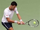 Srb Novak Djokovi trefuje míek pi semifinále tenisového US Open v New Yorku.