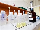 Pracovnci vodrensk laboratoe v Modicch pobl Brna zkoumaj vzorky vody,...