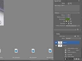 Vedle zcela prázdné vrstvy lze v ZPS X pidat standardní vrstvy jako je text,...
