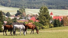 Fryava pod ákovou horou patí v zim i v lét mezi místa vyhledávaná turisty....