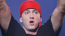 Oekávané album Eminema by mlo podle jeho slov vyjít letos na jae.