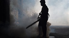 Preventivní opat�ení proti komár�m Aedes aegypti nabírají v Thajsku na...