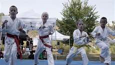 KARATE KID(S). Zájemci si mohli prohlédnout i skupinové cvi�ení malých...