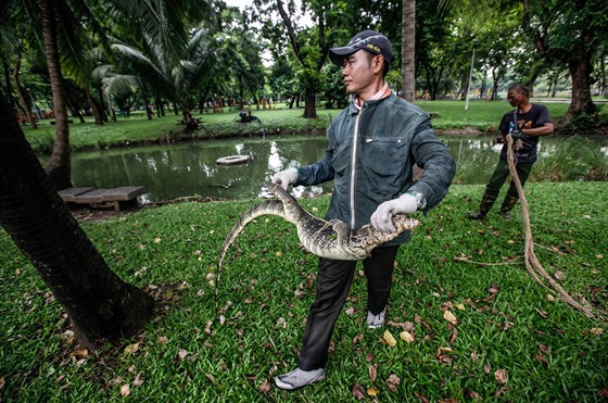 Park Lumpini le v samotnm srdci bangkock finann tvrti a varani tak...