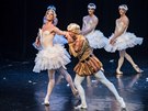 Michal típa a soubor  Ballet Hommes Fatals