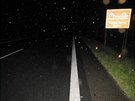 Tragická nehoda se stala na hlavní silnici mezi eskými Budjovicemi a eským...