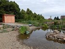 Komunitní zahrada na Suchdole vzniká od podzimu 2014, kdy tu místní spolenými...