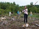 Obnova lesa u Valaskch Klobouk.