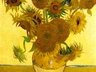 Desítky lutých odstín otiskl van Gogh do svých slavných Slunenic.