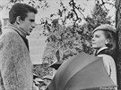 Warren Beatty a Natalie Woodová ve filmu Tpyt v tráv (1961)