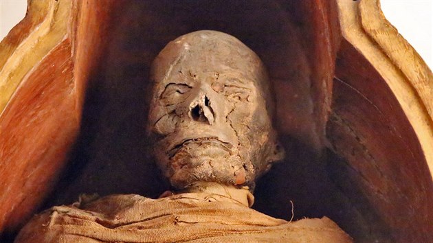 Mumie egyptského kněze Pentahutrese, jejíž výzkum byl v tomto roce ukončen.