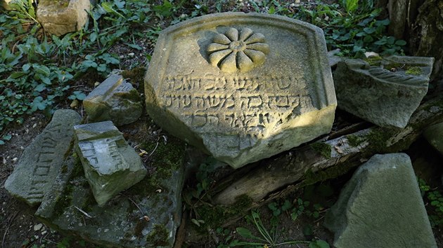 Starý židovský hřbitov v Hřivčicích na Lounsku.