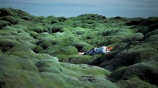 Mechová lávová pole, Island