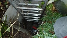 Pes se sám ze septiku nemohl dostat. ((19. zá�í 2016)