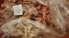 Kontrolo�i veterinární správy na�li v porcovn� masa v Dý�in� desítky kilogram�...