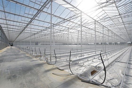 Firma chce v Tetin vybudovat podobné obí skleníky pro celoroní pstování rajat, jaké vyrostly regionu v Haovicích na Olomoucku (fotografie z veejného pedstavení 30. záí 2016).
