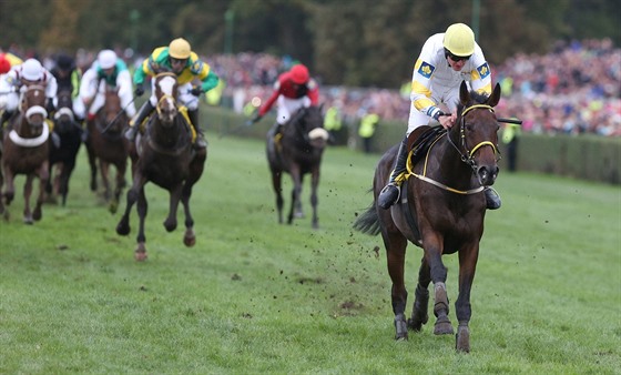 Jan Faltejsek pi triumfu v loské Velké pardubické