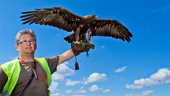 Sokolník Karel Nejman prochází hradeckým letitm s orlem, káaty a psy.