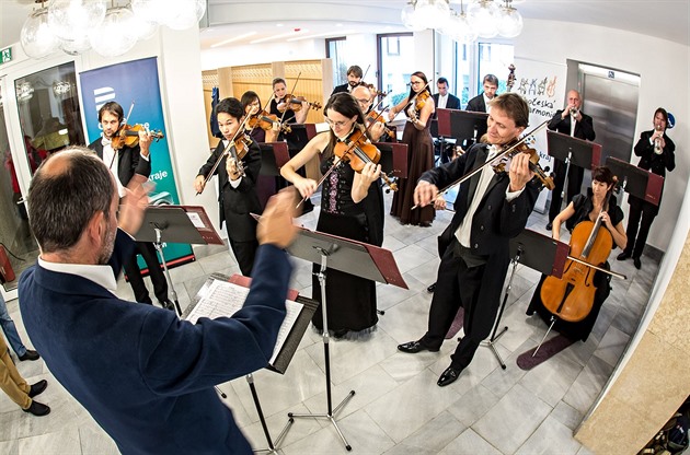 Jihoeská filharmonie v eských Budjovicích má novou moderní kavárnu i foyer.