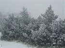 První sníh na Lysé hoe (5.10.2016)