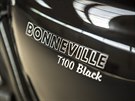 Triumph Bonneville T100 Black