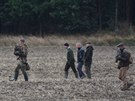 Jedna ze skupin sokolník lovila v honitb u Librantic na Hradecku.