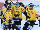 Hokejisté Litvínova slaví gól v utkání proti Spart.