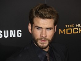 Liam Hemsworth (2016)