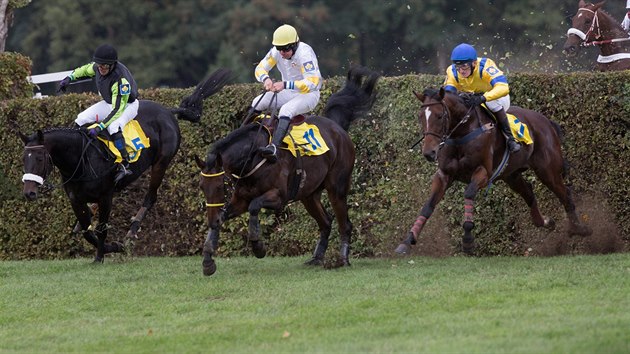 Devtilet hndk Charme Look s okejem Janem Faltejskem (slo 11) na trati Velk pardubick.