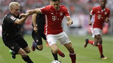 Úto�ník Bayernu Mnichov Robert Lewandowski v utkání proti Kolínu nad Rýnem.