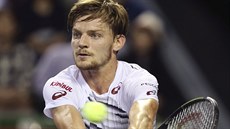 David Goffin v semifinále turnaje v Tokiu