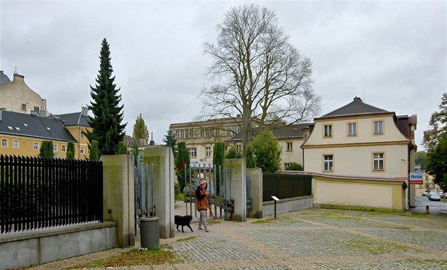 Jet ped nkolika msíci byl strom, který pes sto let stojí v blízkosti...