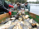 �umvaldsk� rybn�k vydal p�i v�lovu zhruba 85 tun ryb, akce p�il�kala o v�kendu...