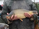 �umvaldsk� rybn�k vydal p�i v�lovu zhruba 85 tun ryb, akce p�il�kala o v�kendu...
