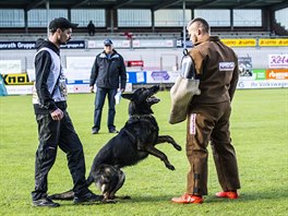 Mistr svta Vclav Ouka a Qvido Vepeden pi jedn ze soutnch discipln -...