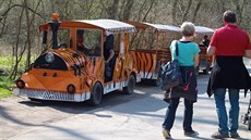 Vlá�ek ve zlínské zoologické zahrad�.