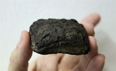 Archeologové v Brn nali v zemi dva kusy zuhelnatlého peiva ze 13. a 14....