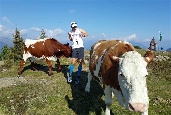 Divoká zvíena pekvapila bce na trati v Dolomitech