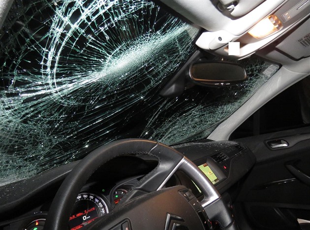 idi citroënu narazil u Netolic do kon, který utekl majiteli.