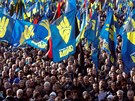Demonstrace poádaná krajn pravicovou stranou Svoboda v Kyjev (14. íjna 2016)