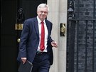 David Davis odchází ze sídla premiérky na 10 Downing Street (25. íjna 2016)