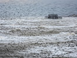 Matthew Cattell - Starling Vortex, Brighton, East Sussex, England