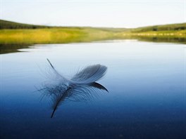 Henry Memmott - Floating Feather, Glengavel Reservoir, Lanarkshire, Scotland