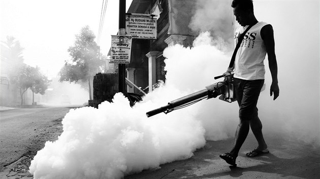 Takhle se válčí s hmyzem, který přenáší onemocnění horečkou dengue, v Indonésii.