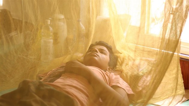 V Indii horečka dengue právě řádí, od srpna se jí nakazily již desetitisíce lidí.