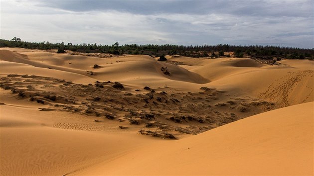 Rudé duny jsou nejkrásnější za východu nebo západu slunce.