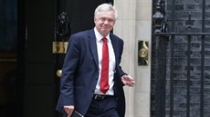 David Davis odchází ze sídla premiérky na 10 Downing Street (25. íjna 2016)